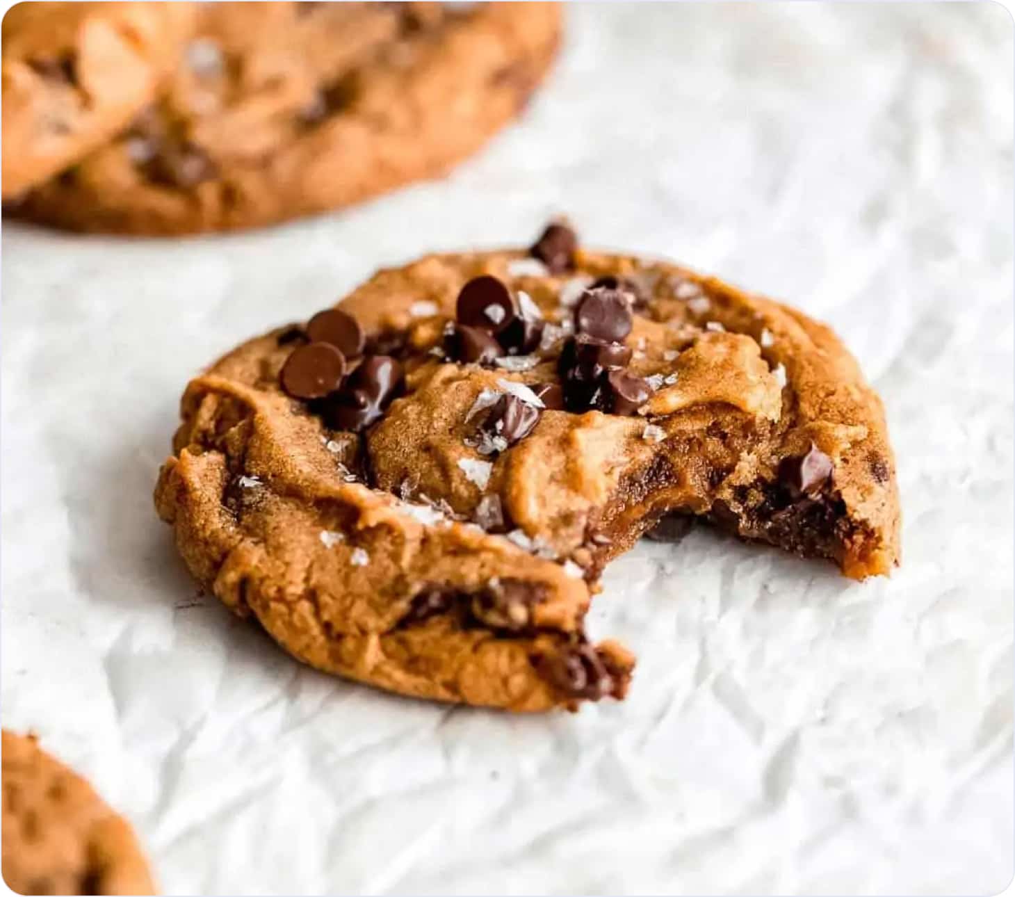 Christmas cookies sprinkled with chocolate