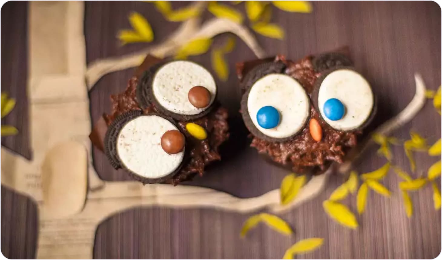 Owl cupcakes decoration